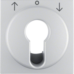 15081404 Centre plate for key push-button for blinds/key switch Berker S.1, aluminium,  matt,  lacquered